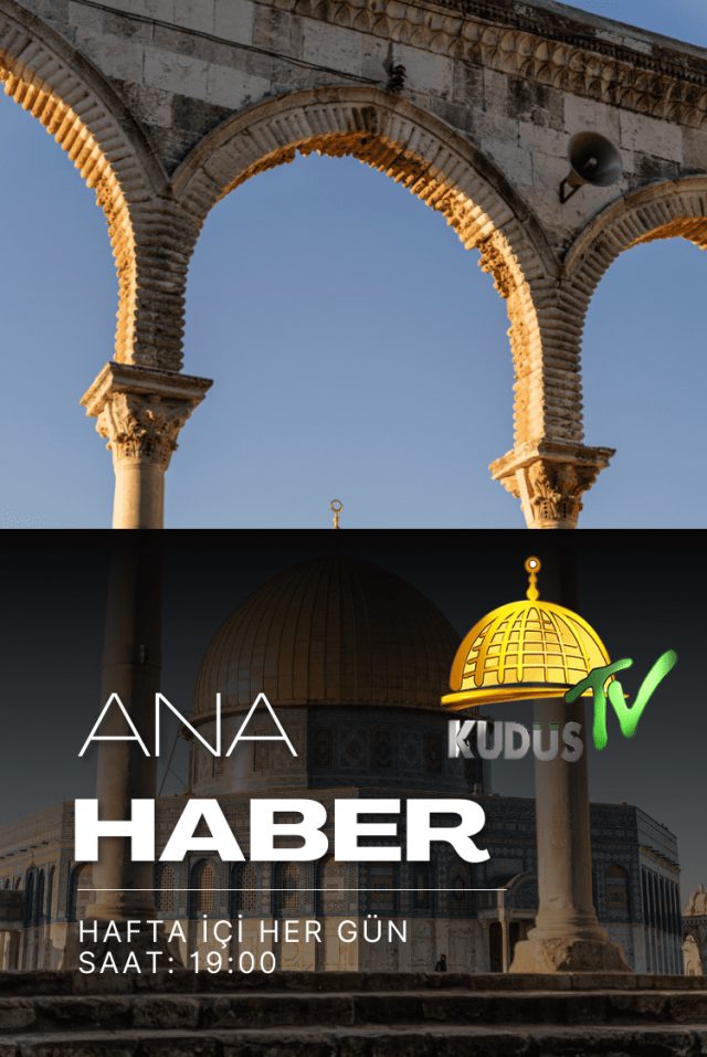 Ana Haber
